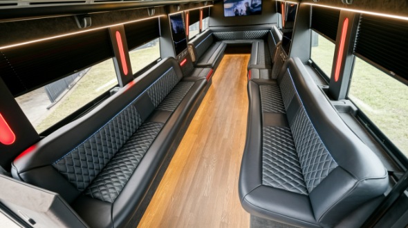elk grove party bus rental rental