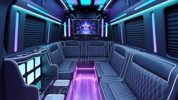elk grove sprinter limo rental inside